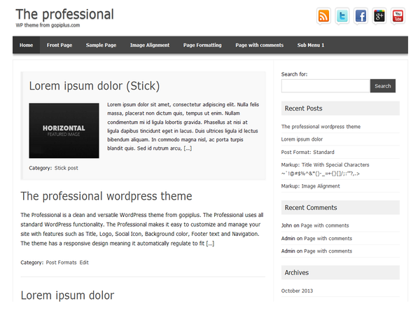 The professional wordpress theme